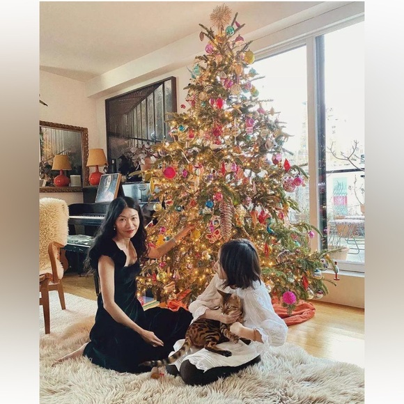 Doen Heirloom Celestine Dress in Black Velvet Size S Small - Picture 2 of 16